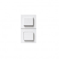 AVE 45B55 DOPPIO PULSANTE NA 1P 16A  BANQ