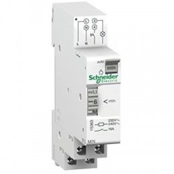 Offerta Schneider SNR15363 Temporizzatore regolabile MIN