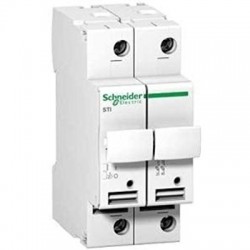 Offerta Schneider SNRA9N15651 STI 2P     10.3x38    500V